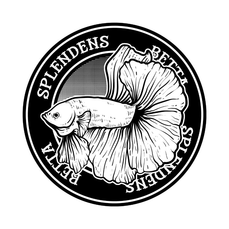 Betta Splendens Tattoo Siamese Fighter Fish