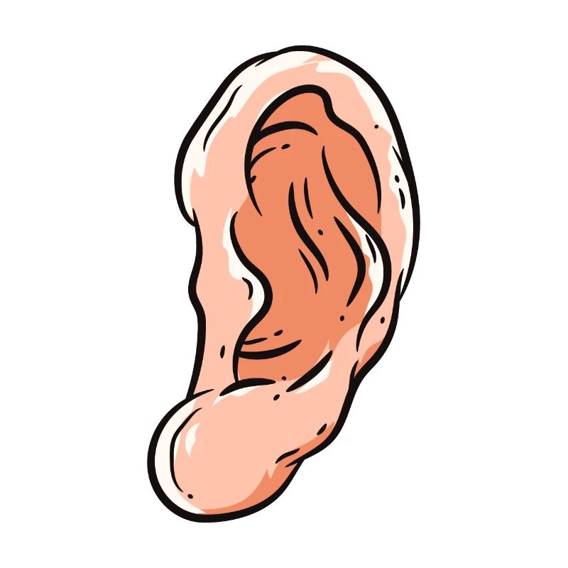 ear
