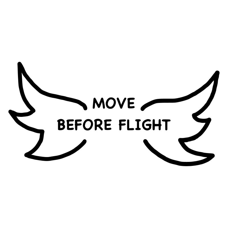 iYpsilon MOVE BEFORE FLIGHT
