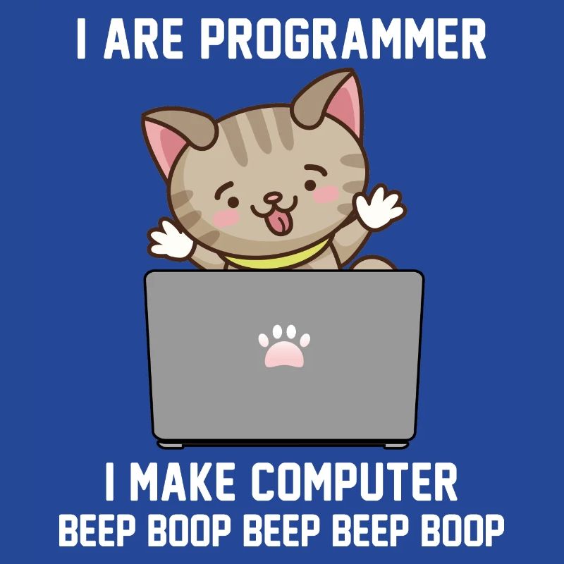 Programmer