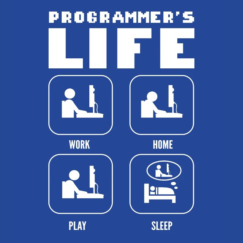 Programmers Life. Work Home Play Sleep Programming