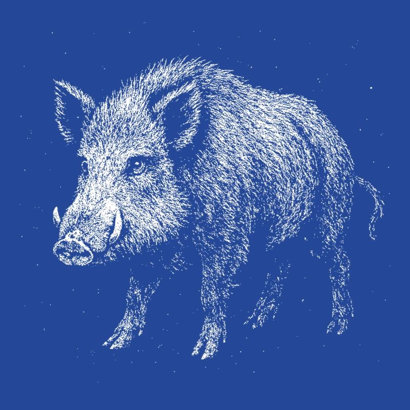 Wildschwein