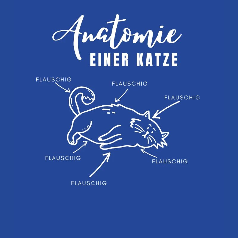Anatomie einer Katze – alles flauschig