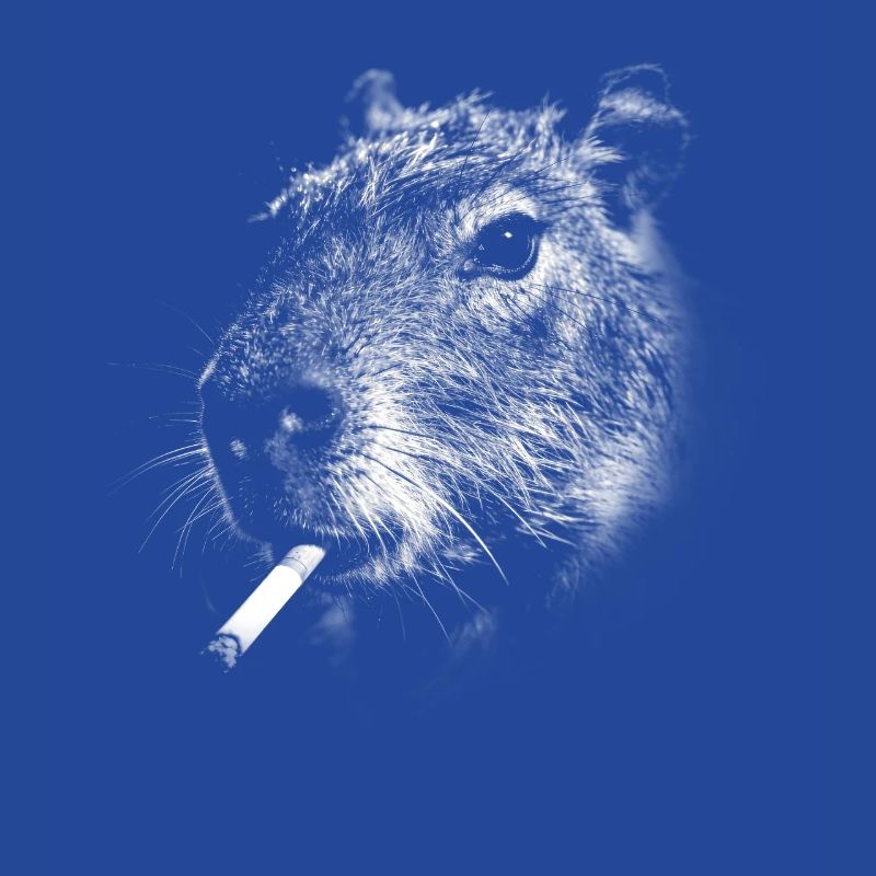 Rauchen, Zigarette, Capybara raucht eine Zigarette