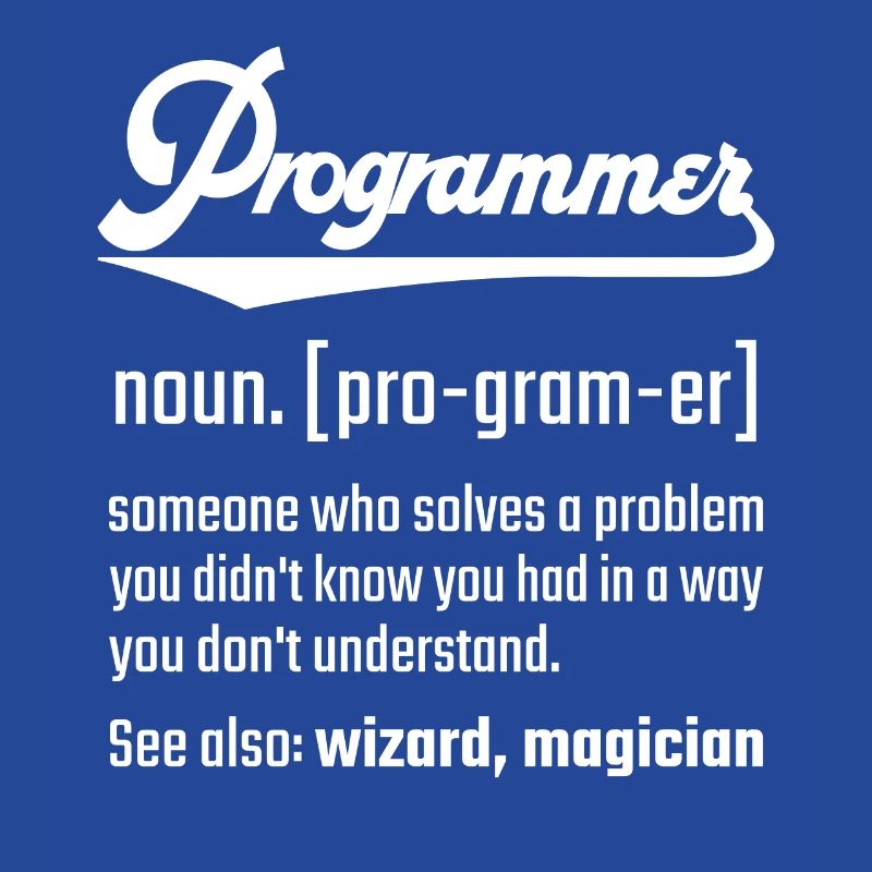 Programmer programmer noun noun definition