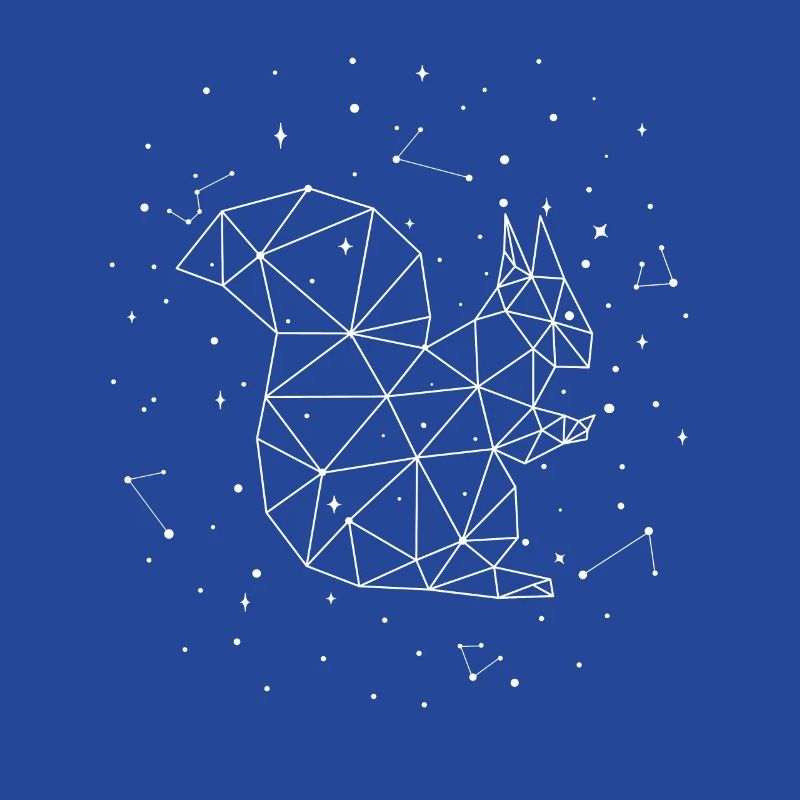 Constellation Squirrel Constellation Squirrel