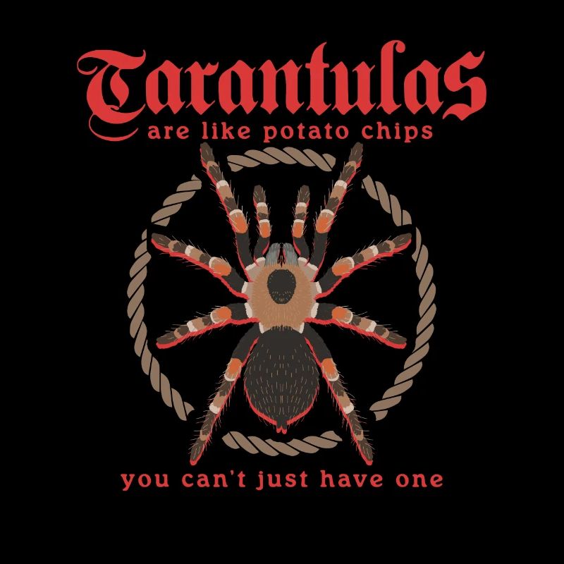Tarantula Tarantula Tarantula Tarantula Gift