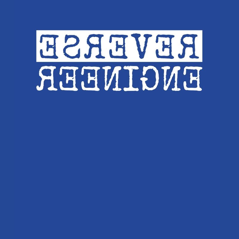 Reverse Engineer Software Engineer Developer