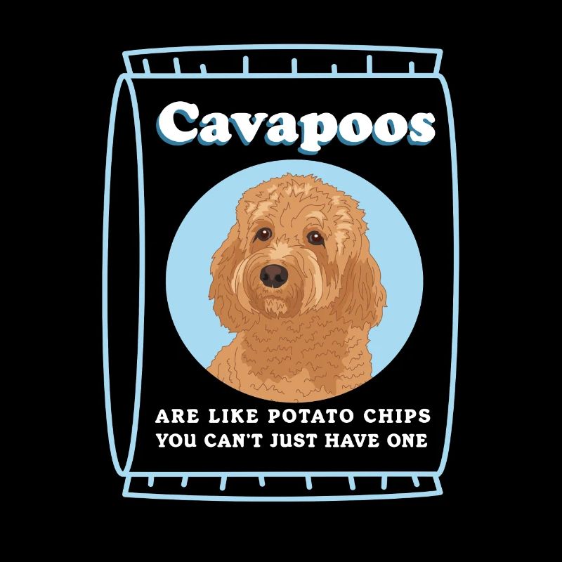 Chien Cavapoo | Cadeau du propriétaire de chien Cavoodle