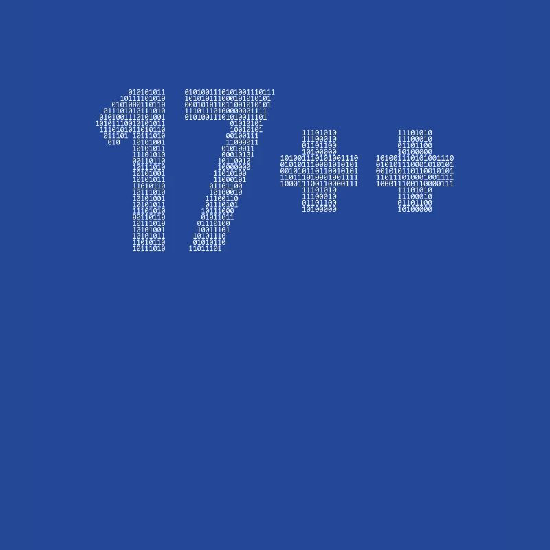 17++ Programmeur Développeur Codeur 18e anniversaire