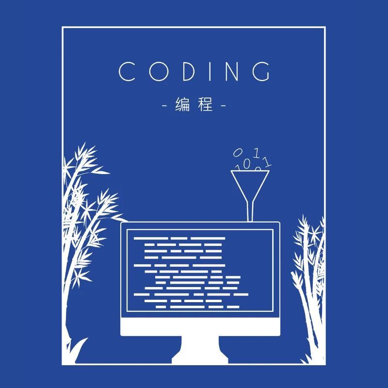 Codage Chinois Hanzi Développeur Codeur Programmeur