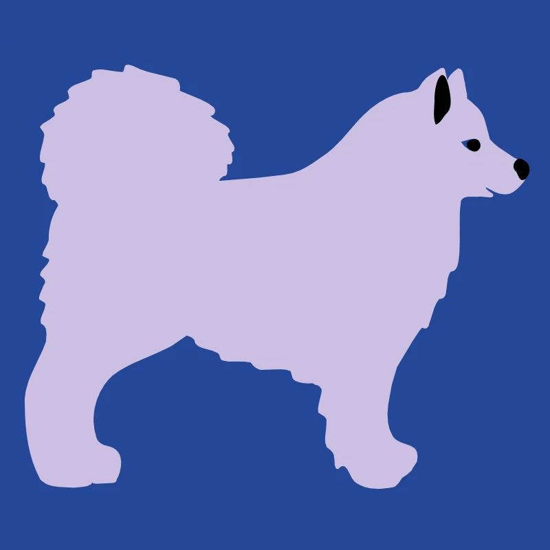 Samojede