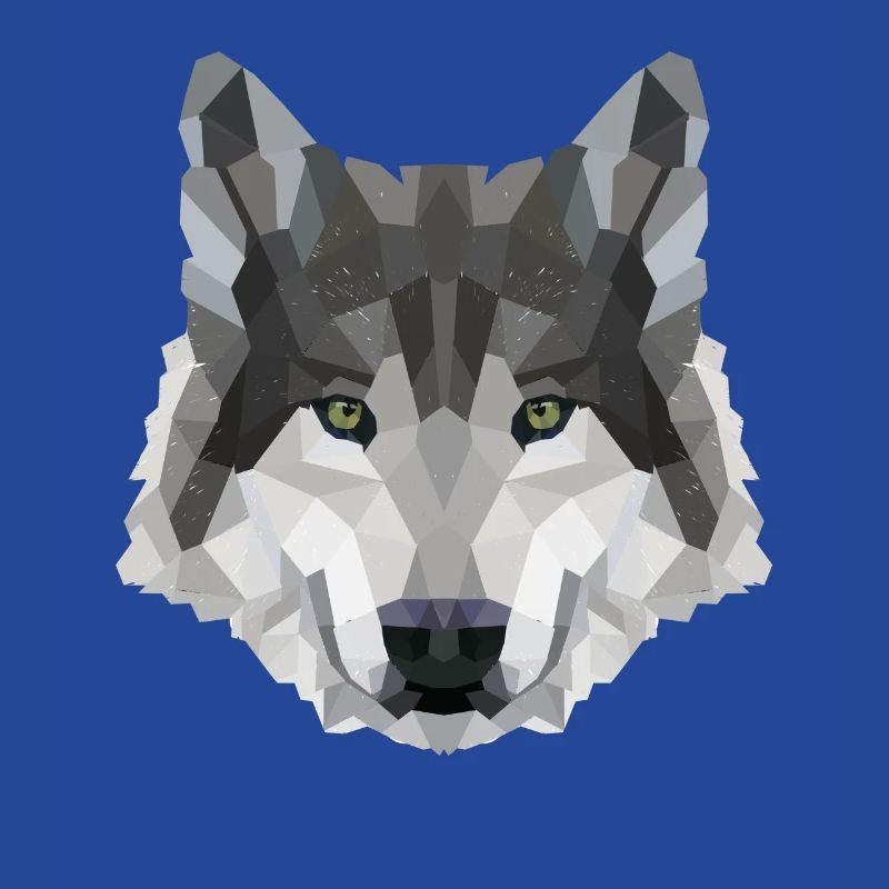 POLYGONE LOUPS LOUPS HUSKY PACK PACK CHIEN PACK PACK