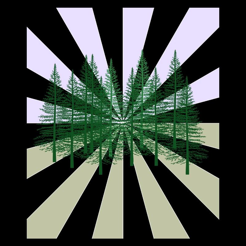 Rays Forest Fir Wilderness Flora Ecology
