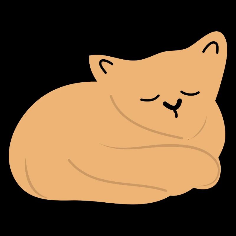 Bébé chat endormi2