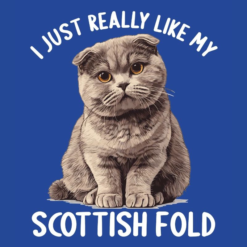 Scottish Fold Kitten Scottish Fold Cat