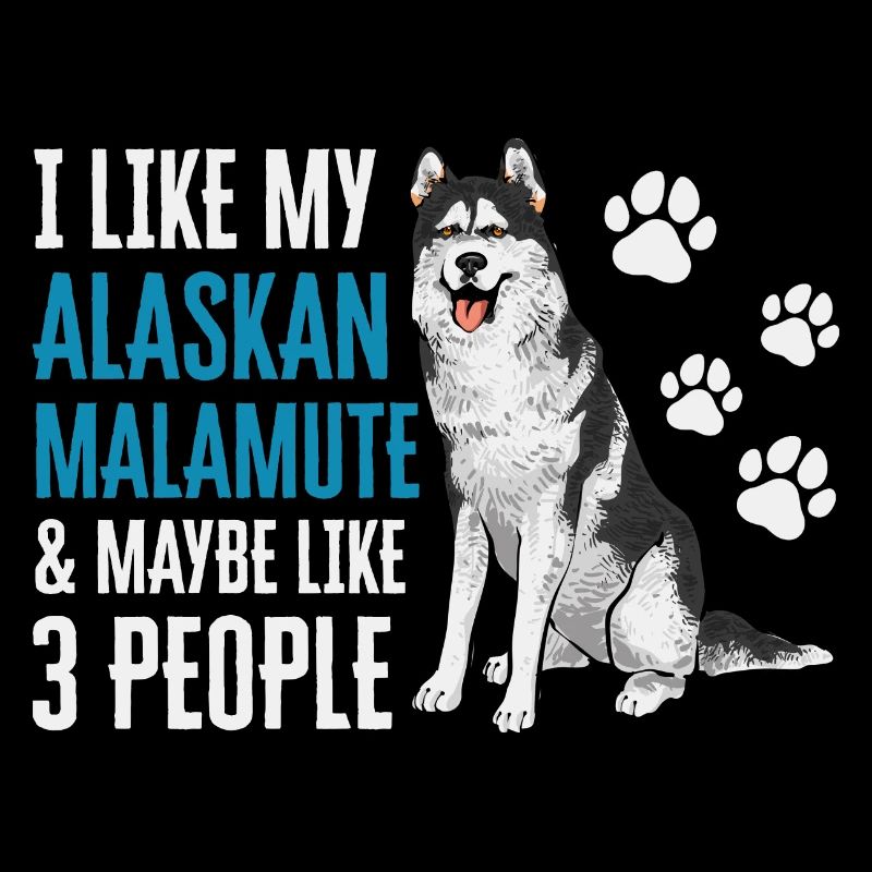 Chien Malamute d’Alaska
