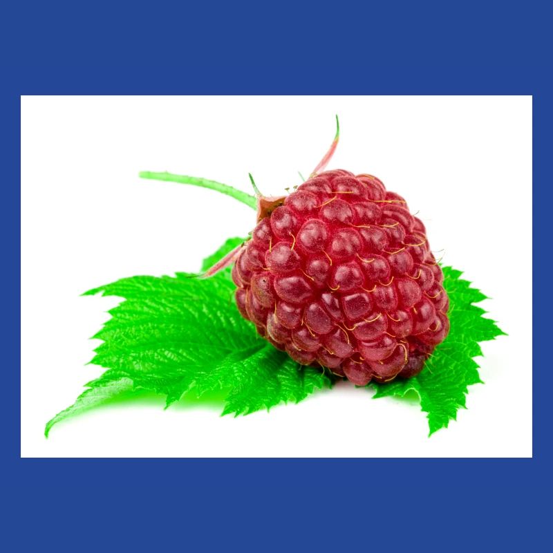 Raspberry. Raspberry