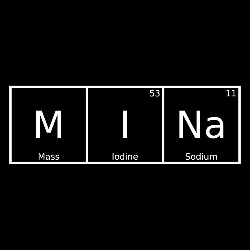 Mina Name First Name Chemistry Periodic Table Elements