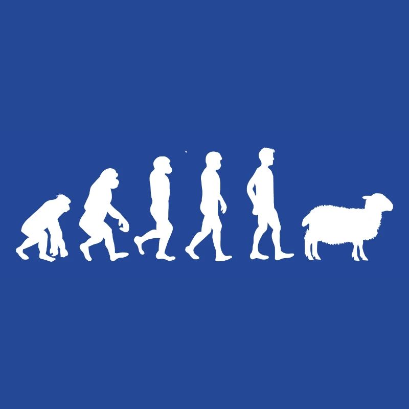 Evolution mouton