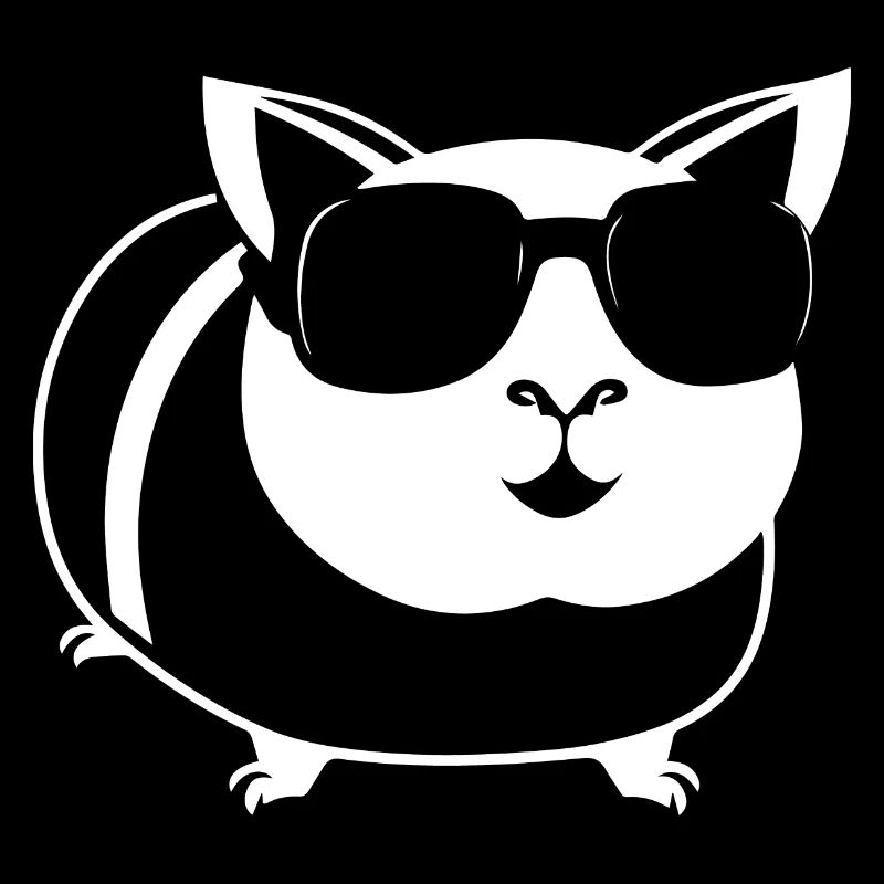Cochon d’Inde drôle avec des lunettes de soleil Cochons d’Inde