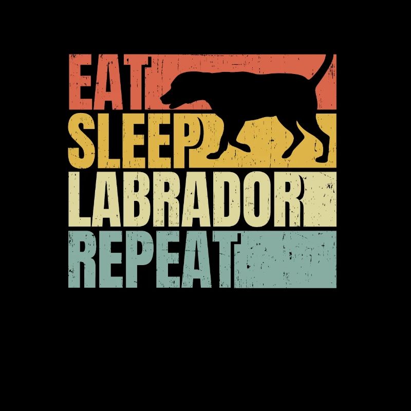 Manger dormir Labrador répéter