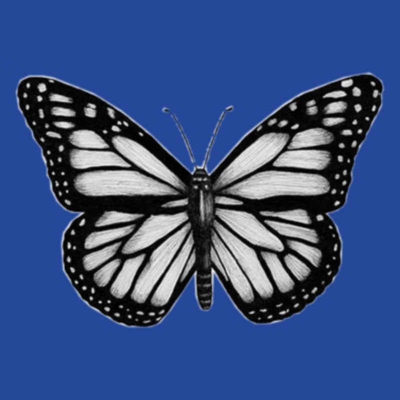 066557FA DCED 488A B26F A7D812E6A3F8