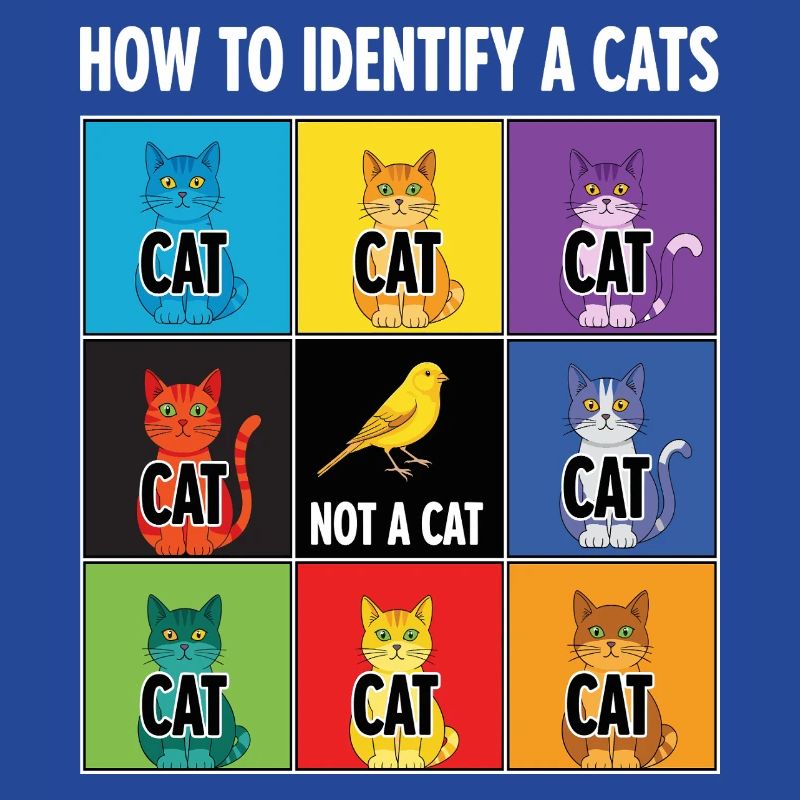 Guide d’identification des chats
