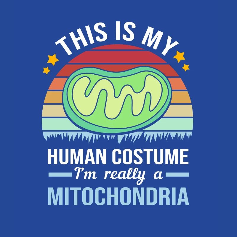 Formule structurelle de la molécule