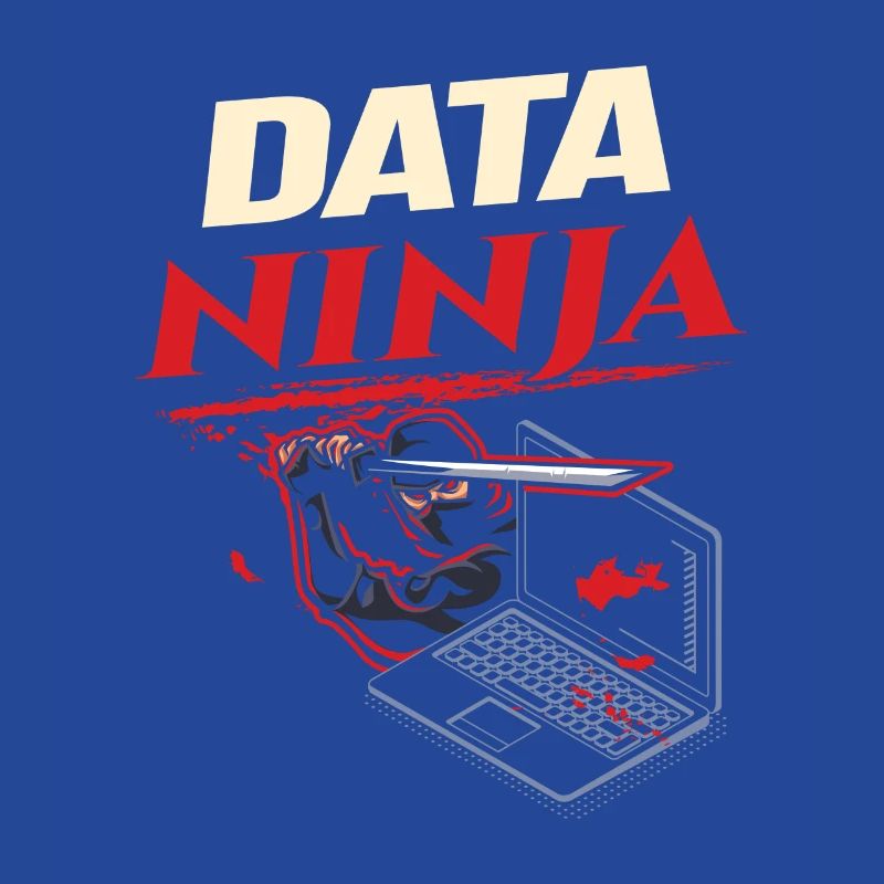 Data Ninja computer programming coder