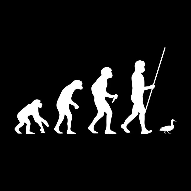 Évolution du canard