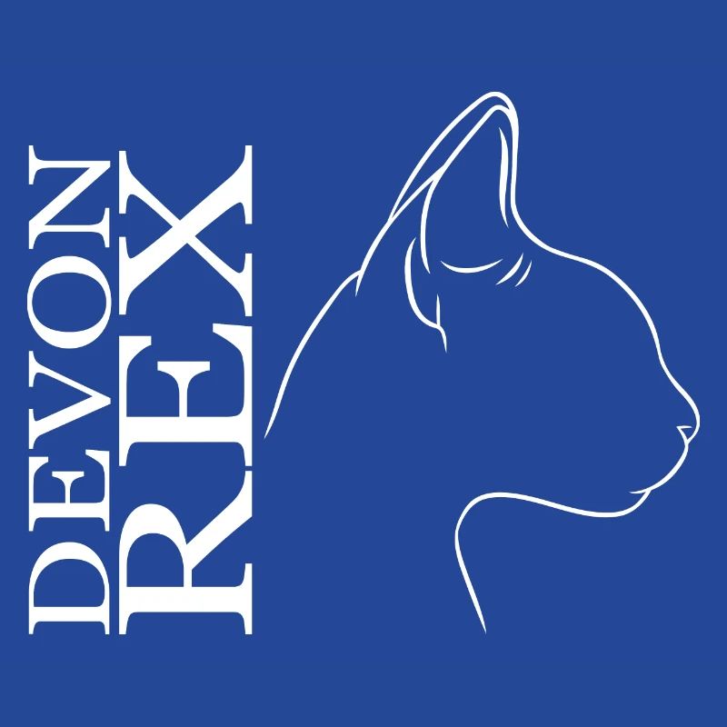 Devon Rex Profil Chat Chat Wilsigns