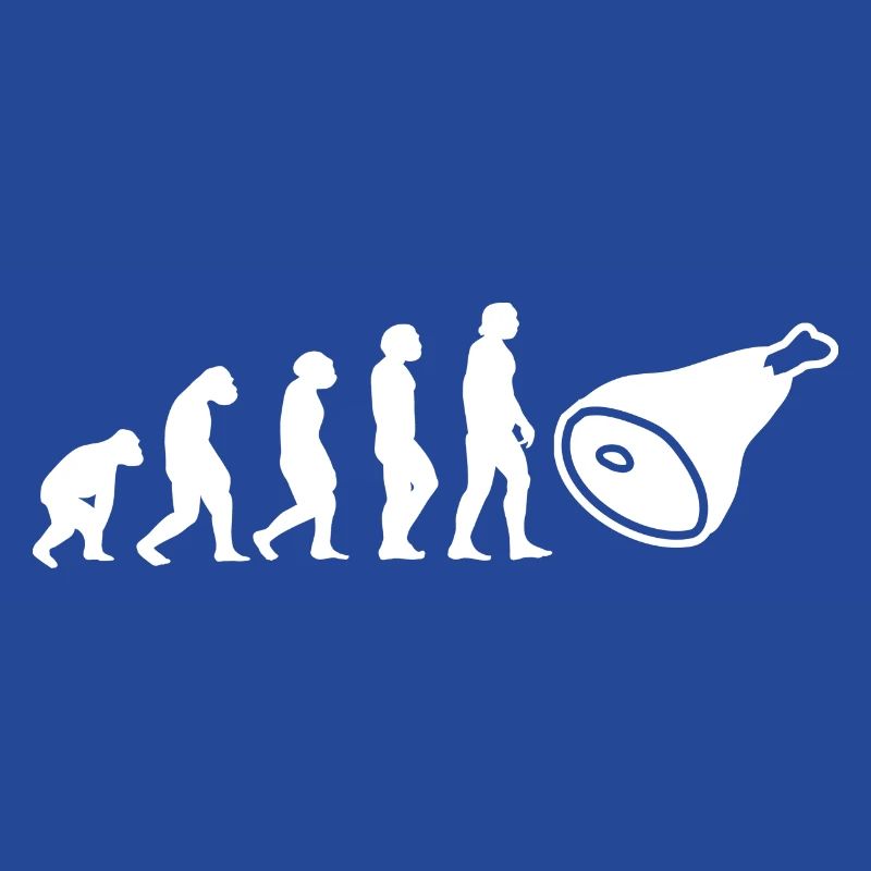 Evolution Fleischer