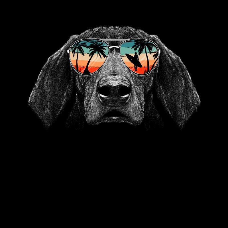 Chien teckel