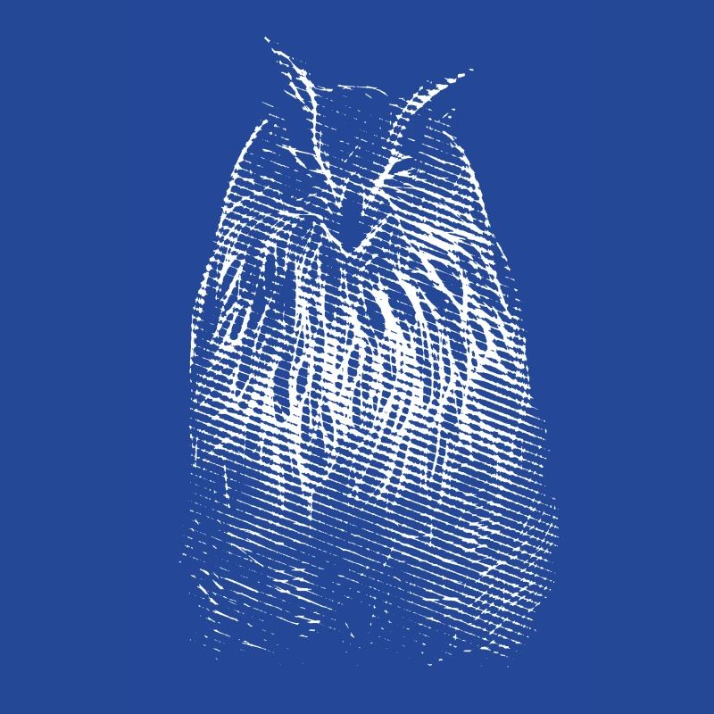 Das Lächeln von Herrn Owl. Eule, Eule