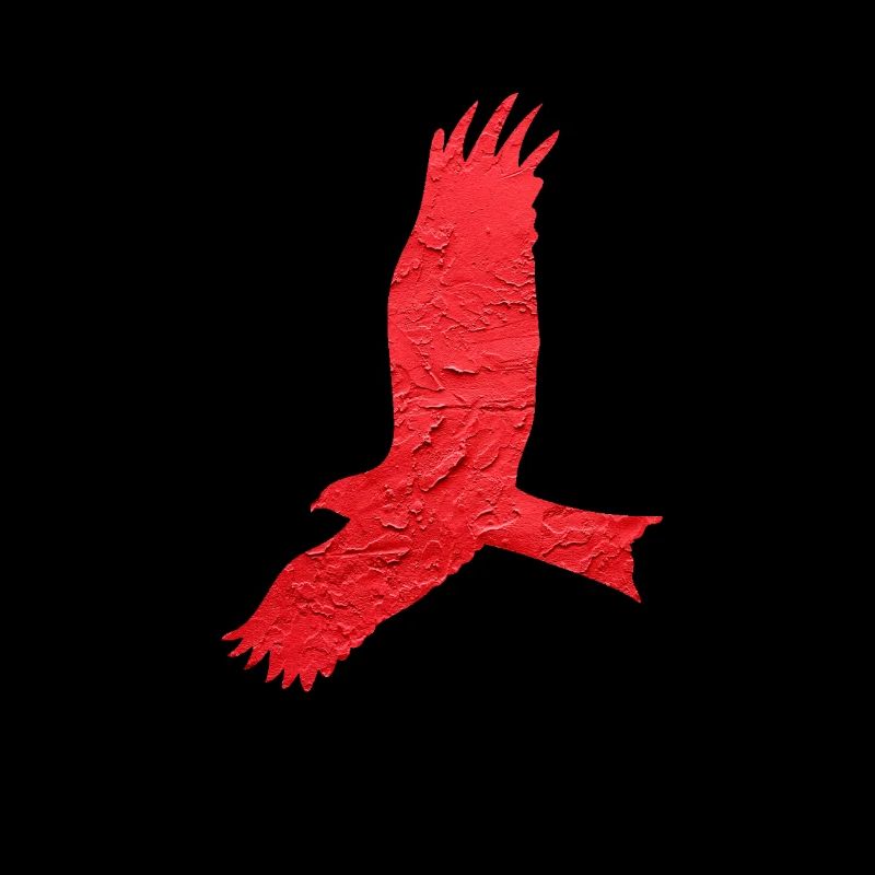 falcon