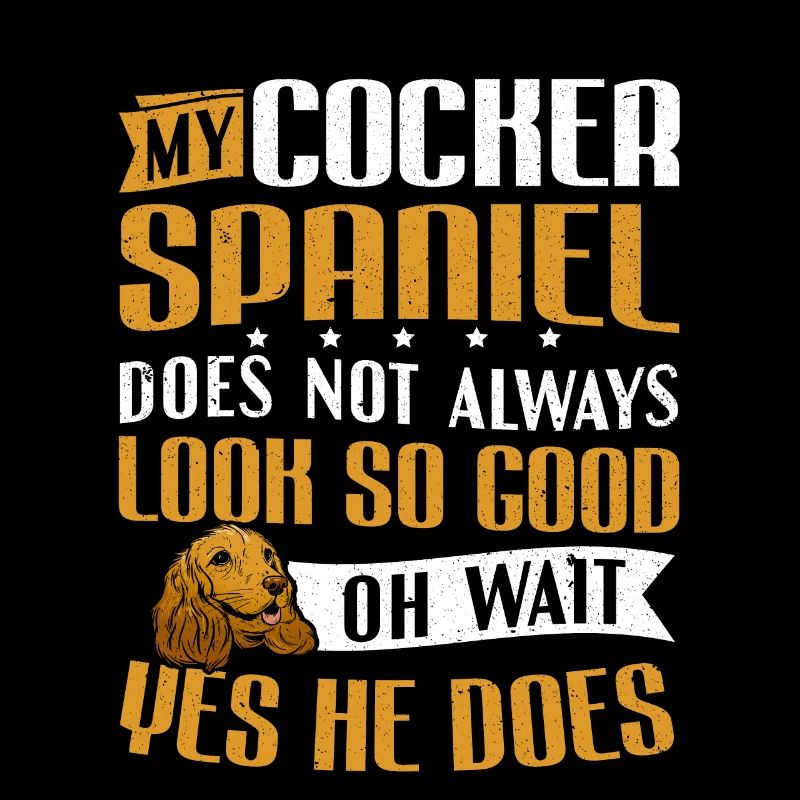Mein Cocker Spaniel sieht gut aus