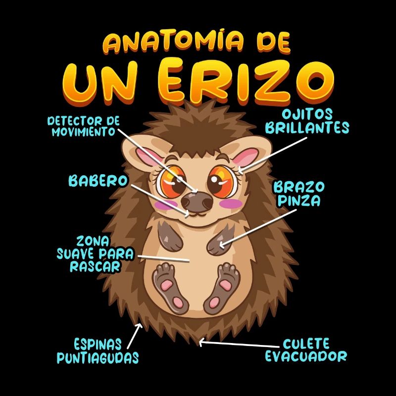 Anatomie eines lustigen Igels