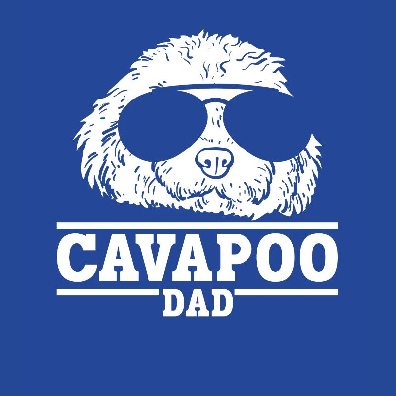 Cavapoo Cavoodle Capoodle Hund