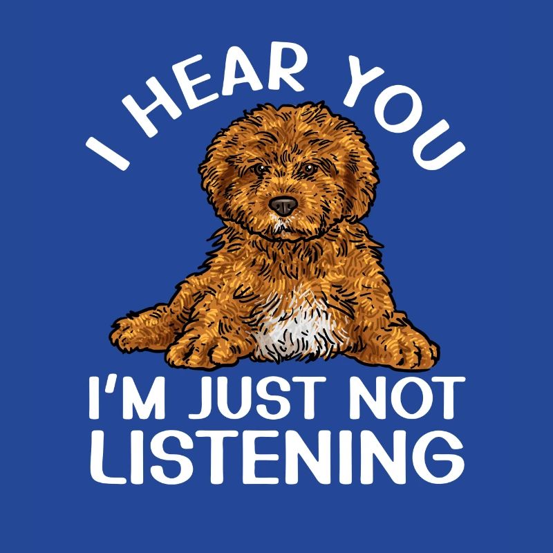 Cavapoo Cavoodle Capoodle Hund