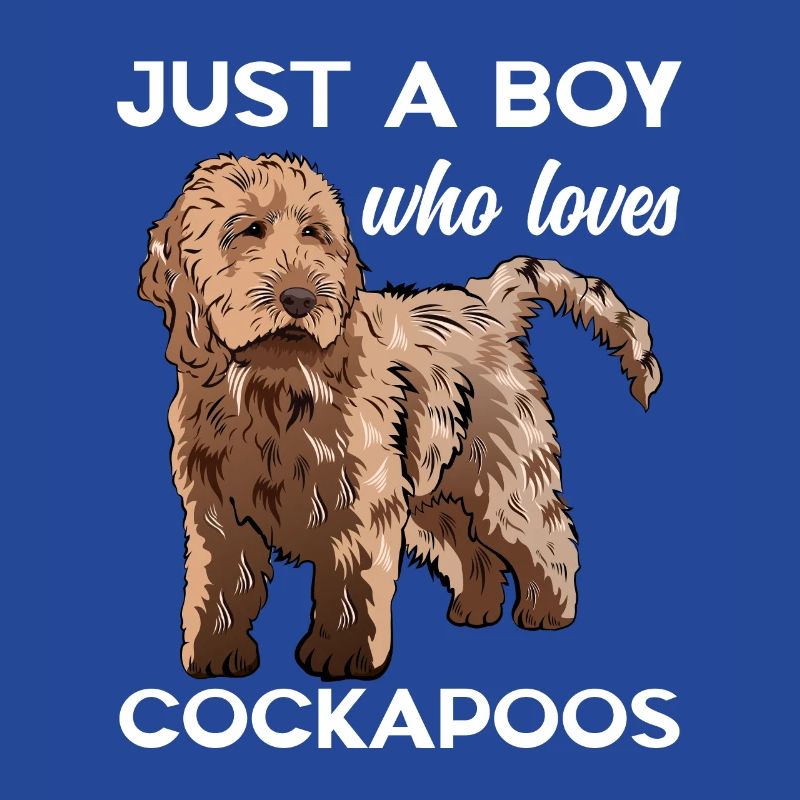 Cockapoo Dog