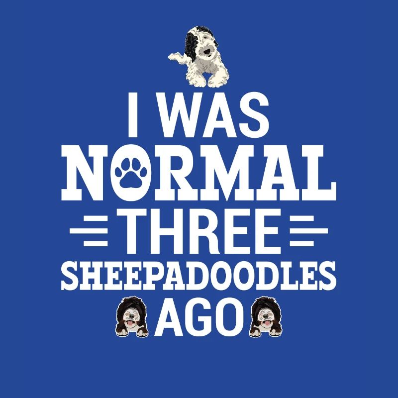 Sheepadoodle Doodle Dog
