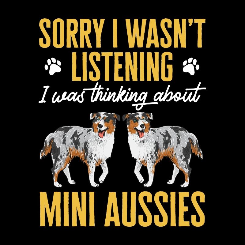Miniature Australian Shepherd