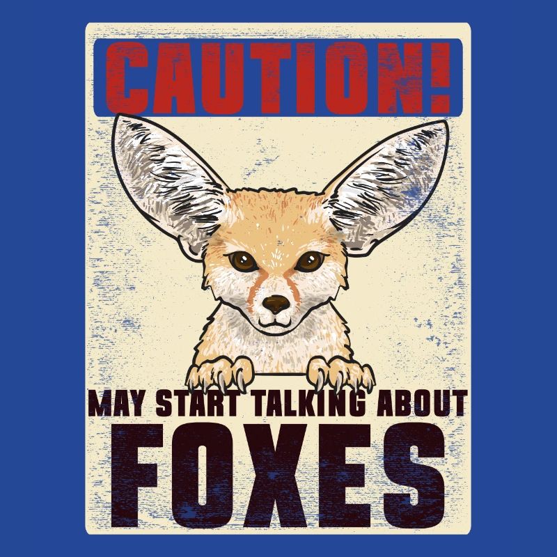 Fennek Fox Fennec Fox Desert Fox