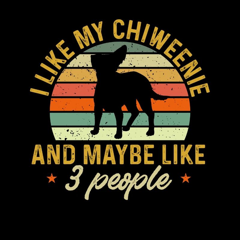 Chiweenie Dog