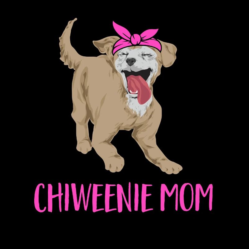 Chiweenie Dog