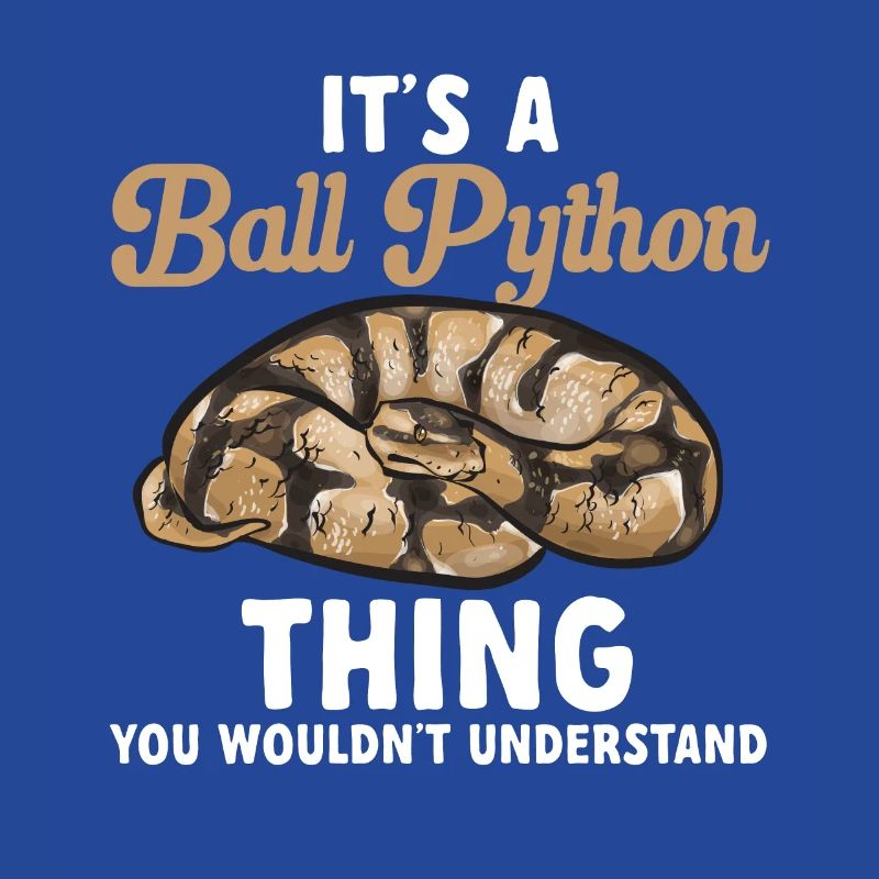 Ball Python Schlange Königspython