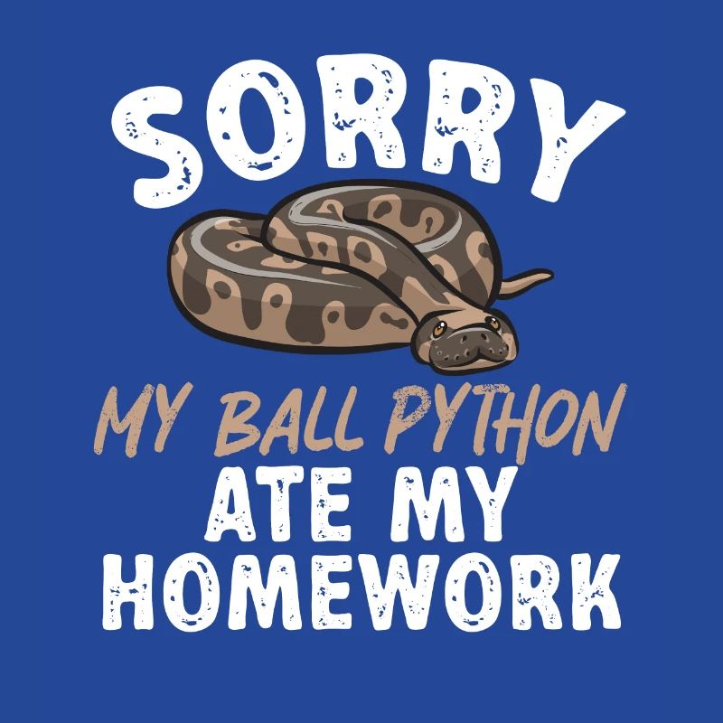 Ball Python Schlange Königspython