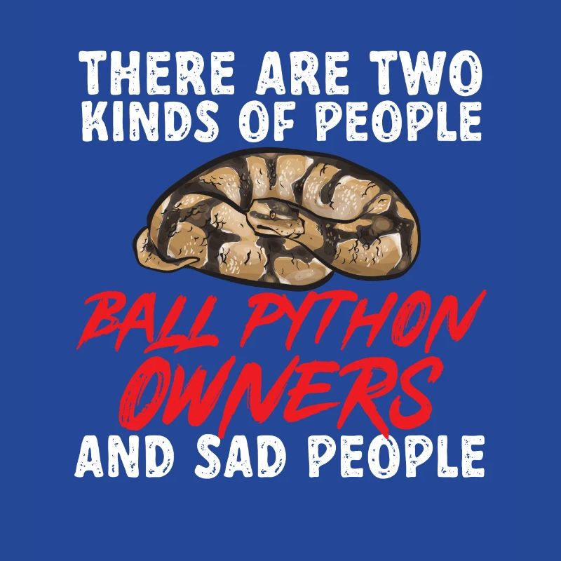 Ball Python Schlange Königspython