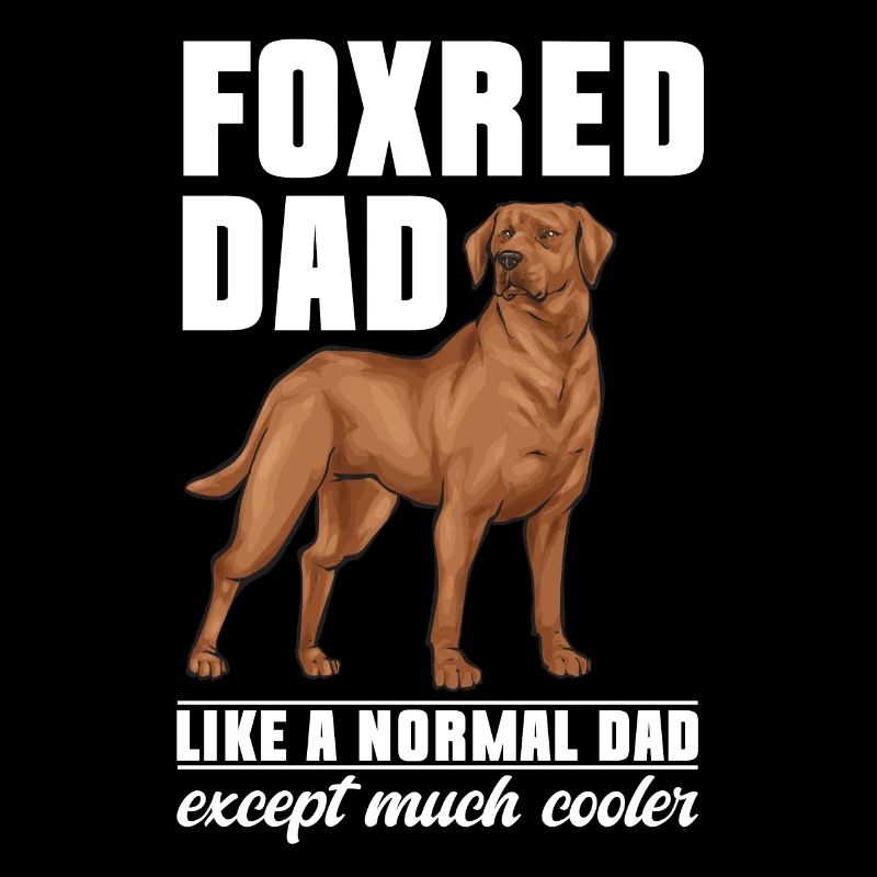 Fuchsroter Labrador Retriever Fox Red Labrador